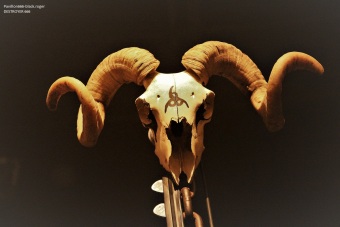 27.10.19_destroyer66601